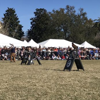 Southeastern Wildlife Exposition - Birds of prey - Festivals Near Me - Charleston, South Carolina Southeastern Wildlife Exposition - Birds of prey - Festivals Near Me - Charleston, South Carolina