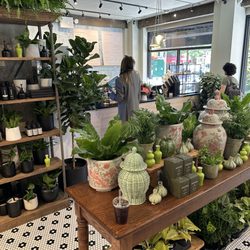 Plantshed
