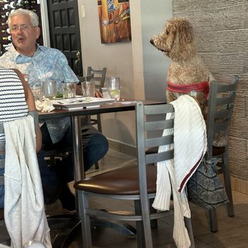 Daniel's - This little fella must be a regular! - Seafood Near Me - Punta Santiago, Puerto Rico