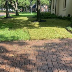 Alex Gardening and More - The process of grass application