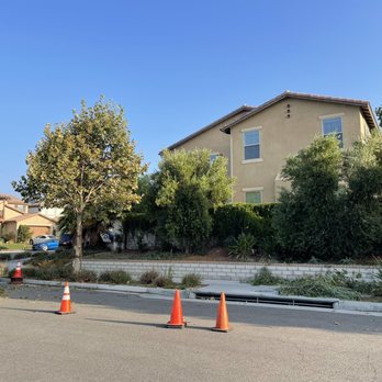 Advance Tree Service - Tree Services Near Me - Chino, California