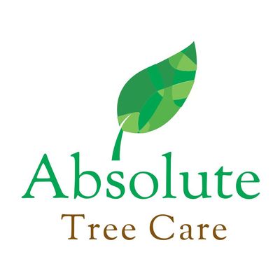 Absolute Tree Care
