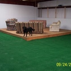 Clip N Dip Grooming & Boarding - Our indoor play area.  Your dog will love it here.
