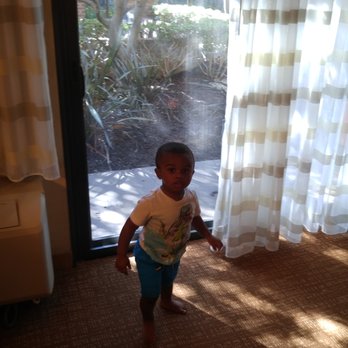 Courtyard by Marriott Los Angeles Torrance/Palos Verdes - Enjoying the view from the room until I called his name to take this pic. Lol - Hotels Near Me - Torrance, California