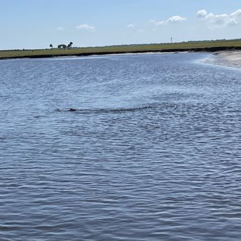 Capt Duke's Airboat Rides - Boat Tours Near Me - Christmas, Florida