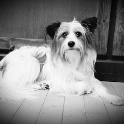 Femmes & Fidos - Beautiful Sophie!