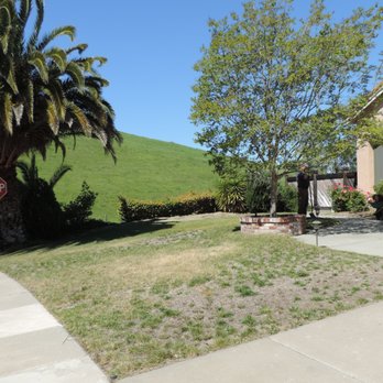 A-2-Z Landscaping - Before - Landscaping Near Me - Vacaville, California