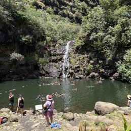 Waimea Valley Waterfall and Natural Pool Waimea Valley Waterfall and Natural Pool