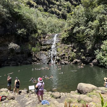 Waimea Valley - Waimea Valley Waterfall and Natural Pool - Venues & Event Spaces Near Me - Haleiwa, Hawaii Waimea Valley - Waimea Valley Waterfall and Natural Pool - Venues & Event Spaces Near Me - Haleiwa, Hawaii