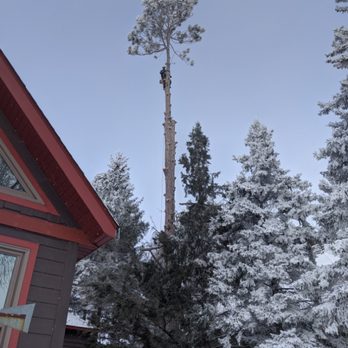 Branch Out Tree Service - Winter climbing rocks! - Tree Services Near Me - Saint Croix Falls, Wisconsin Branch Out Tree Service - Winter climbing rocks! - Tree Services Near Me - Saint Croix Falls, Wisconsin