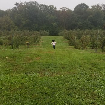 Wright's Farm - So much to run to - Fruits & Veggies Near Me - Gardiner, New York