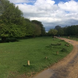 National Trust: Hatfield Forest