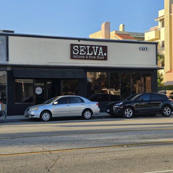 Selva - Bars Near Me - Long Beach, California