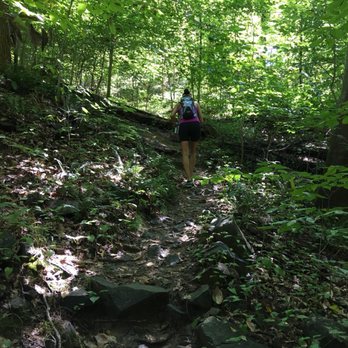 Turkey Run Park - Parks Near Me