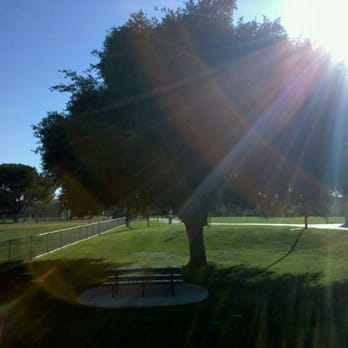 Hunter Park - In memory of the tree that is no longer there. - Parks Near Me - Riverside, California Hunter Park - In memory of the tree that is no longer there. - Parks Near Me - Riverside, California