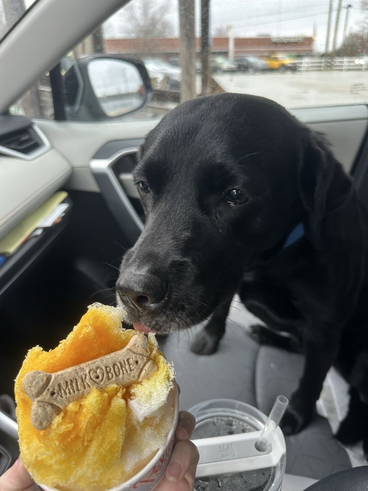 Pelican's SnoBalls Logo