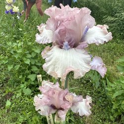 Long's Gardens