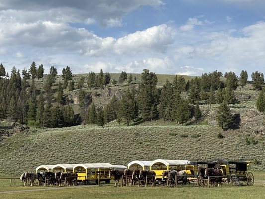 Roosevelt Corrals by null