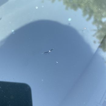 Glass First Aid - Small crack, it had been smaller but they spread! Get yours fixed ASAP! - Windshield Installation & Repair Near Me