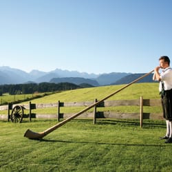 Landhotel Alphorn