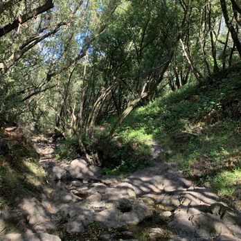 Lake Anza - Trail - Lakes Near Me - Berkeley, California