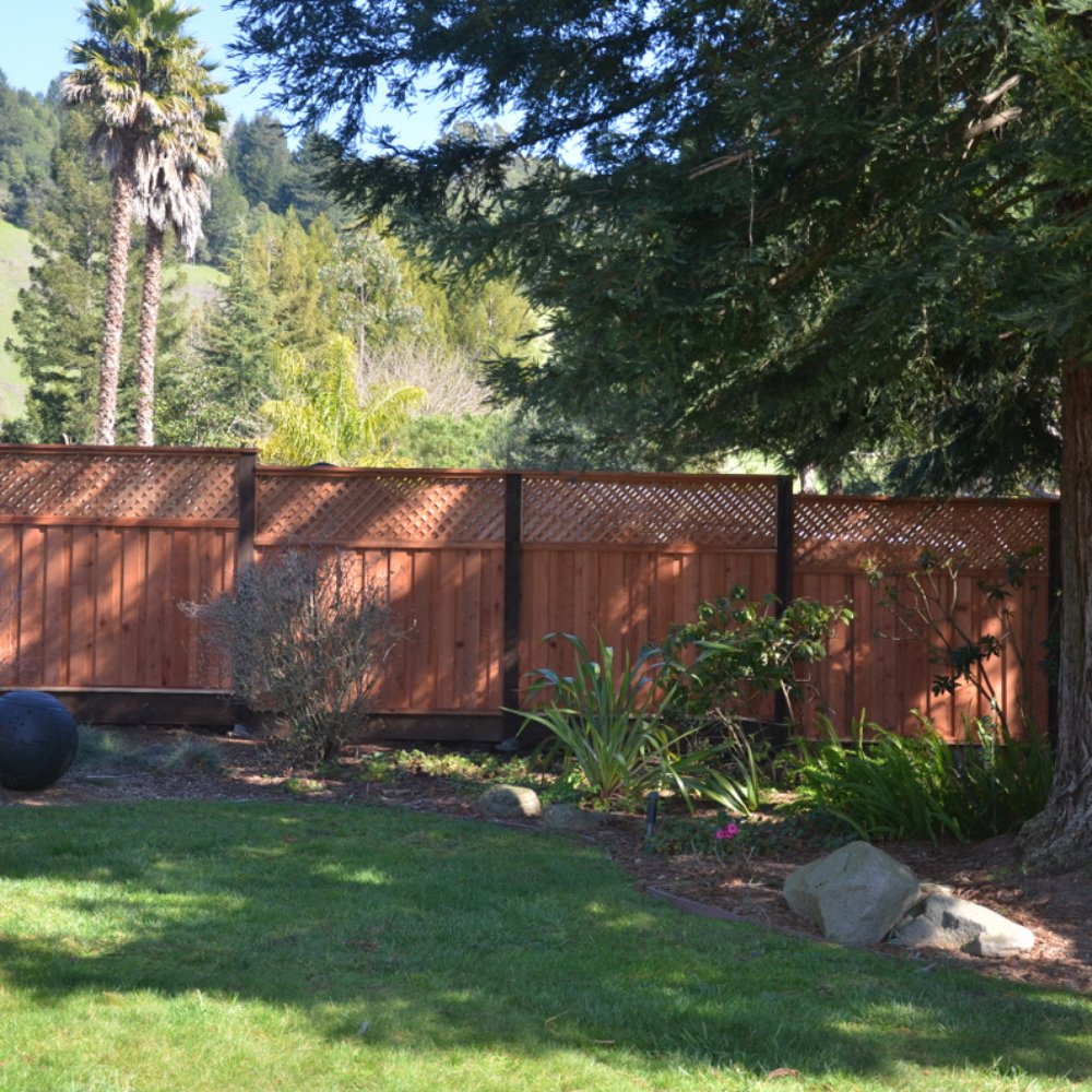 Guy's Fencing - Here they topped the fence with lattice to hide our neighbors ugly outbuilding. - Fences & Gates Near Me - Santa Rosa, California