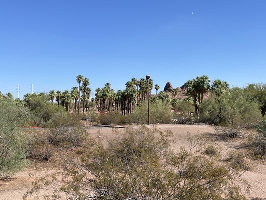 Papago Park by null