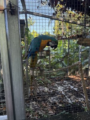 Earth 'n' Us Farm by null