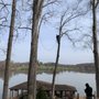 Photo of Dodson's Complete Tree Service