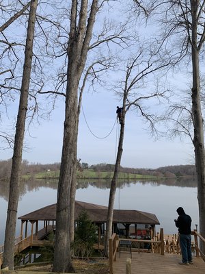 Dodson's Complete Tree Service