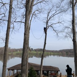 Dodson's Complete Tree Service