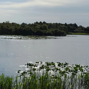 Walsingham Park - Time to walk it all off LOL what a view - Dog Parks Near Me - Seminole, Florida