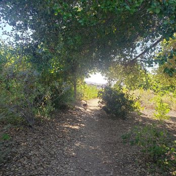 Caroline Park - Parks Near Me - Redlands, California Caroline Park - Parks Near Me - Redlands, California