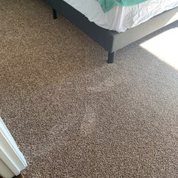 Newly cleaned carpet and no hint of pee odor