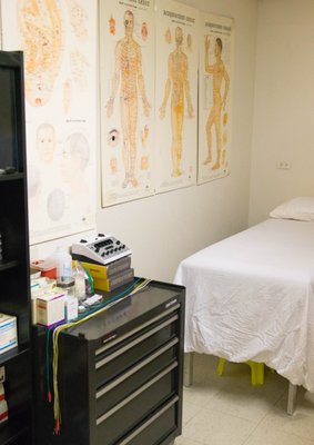 Indochina Ginseng 印支参茸