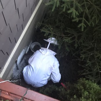 Insight Pest Solutions - Insight Pest Solutions tech David digging out a bee's nest I didn't even know I had, all included in the price. - Pest Control Near Me - Federal Way, Washington Insight Pest Solutions - Insight Pest Solutions tech David digging out a bee's nest I didn't even know I had, all included in the price. - Pest Control Near Me - Federal Way, Washington