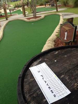 Professor Hacker's Dinosaur Adventure Golf by null