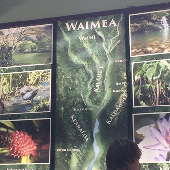 E Noa Tours - Waimea Gardens - Tours Near Me - Honolulu, Hawaii E Noa Tours - Waimea Gardens - Tours Near Me - Honolulu, Hawaii