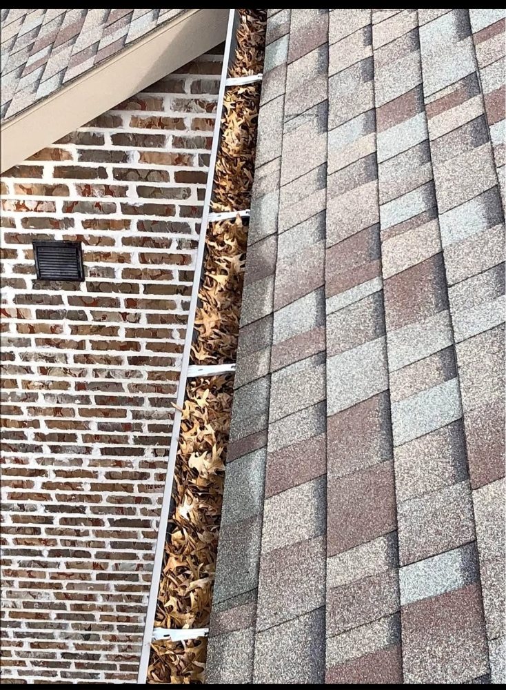 Slide of Macaw Roofing