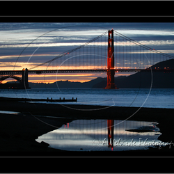 Golden Gate reflection. Visit my website to see my complete gallery