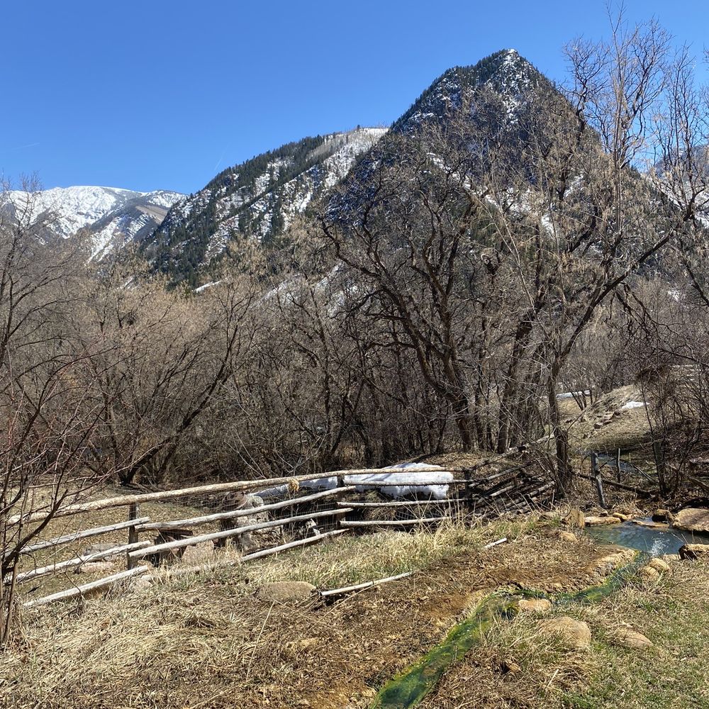 View from hot springs