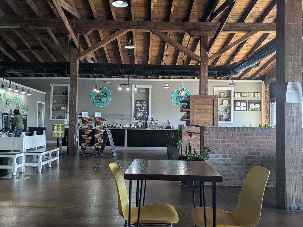 Yellow Monkey Frozen Yogurt & More Logo