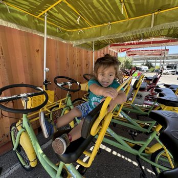 Tucson / Lazydays KOA - Another picture of this Cutie checking out the rentals - Campgrounds Near Me - Tucson, Arizona
