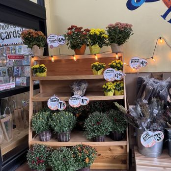 Trader Joe's - Grocery Near Me - Orlando, Florida