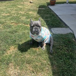 Bleu Bleu