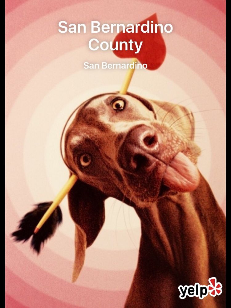 San Bernardino County - social services organization in San Bernardino, CA