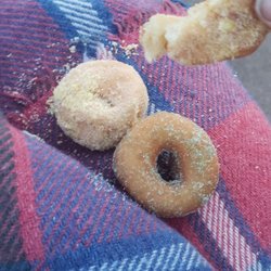 The Donut Diva