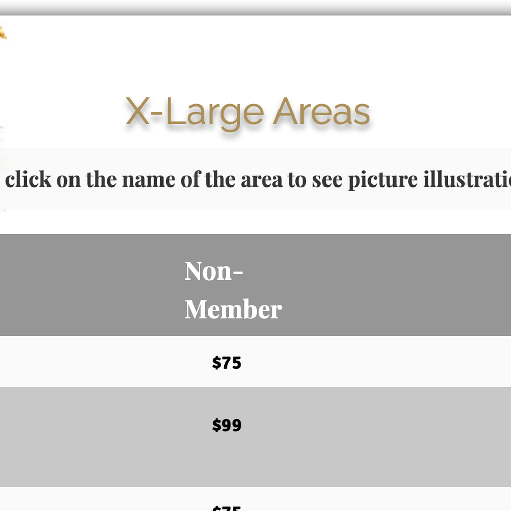 Bared Monkey Laser Spa - Laser Hair Removal Near Me - New York, New York Bared Monkey Laser Spa - Laser Hair Removal Near Me - New York, New York