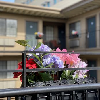 Westwind Lodge - Spring time at the Westwind Lodge. - Hotels Near Me - Oakland, California Westwind Lodge - Spring time at the Westwind Lodge. - Hotels Near Me - Oakland, California