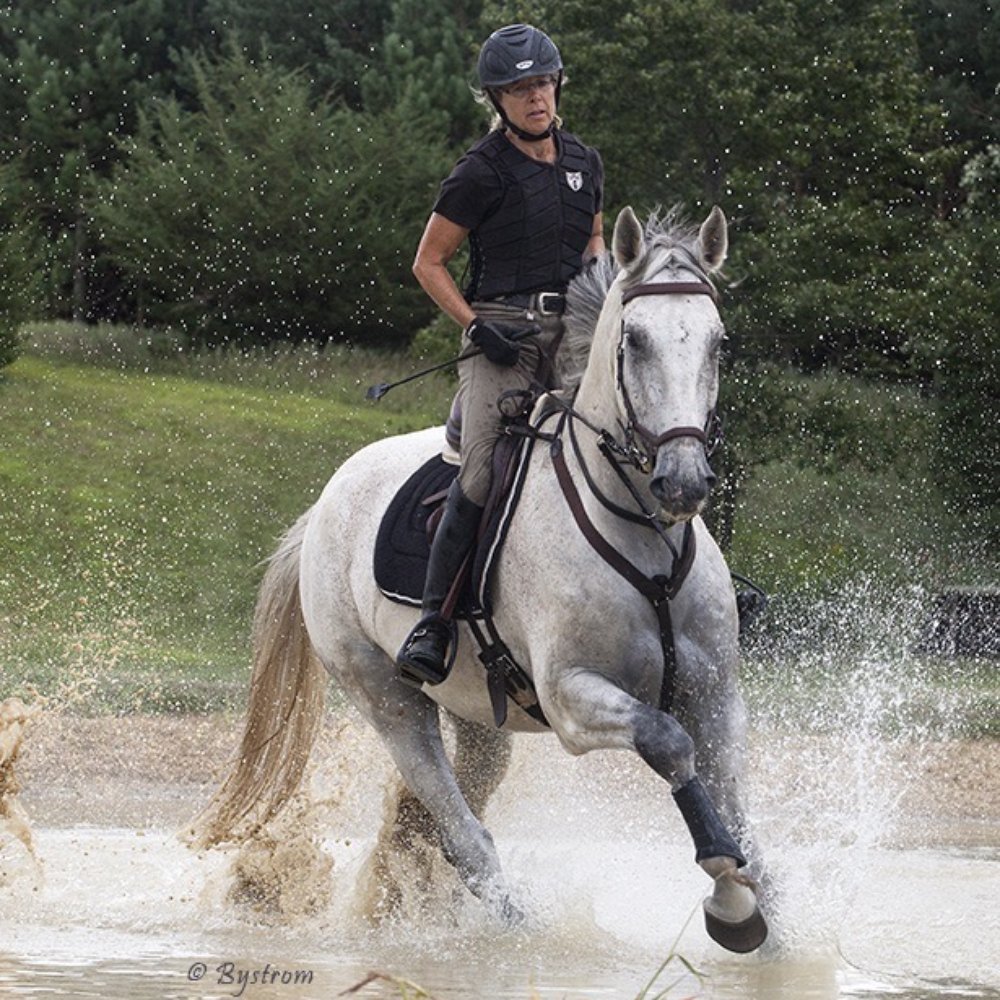 North Brook Eventing Center - Eventing - Horse Boarding Near Me - Stillwater, Minnesota North Brook Eventing Center - Eventing - Horse Boarding Near Me - Stillwater, Minnesota